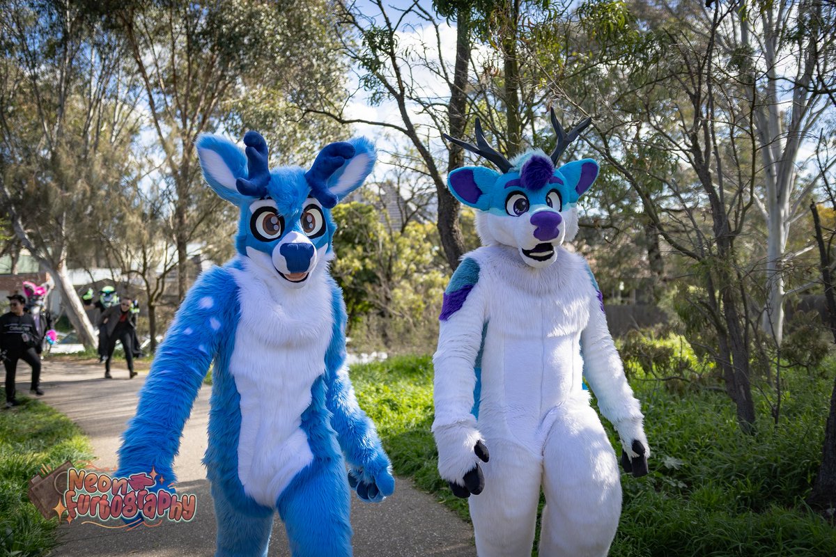 Charlie Deer tweet media