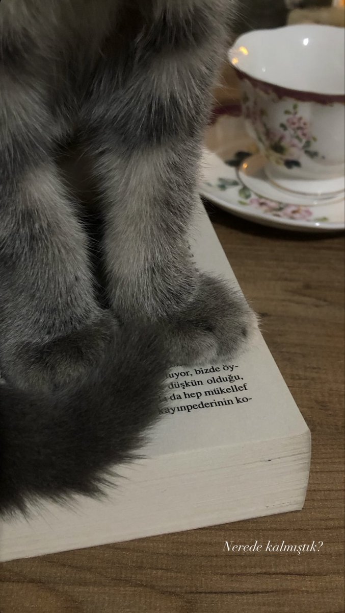 Nerede kalmıştık?