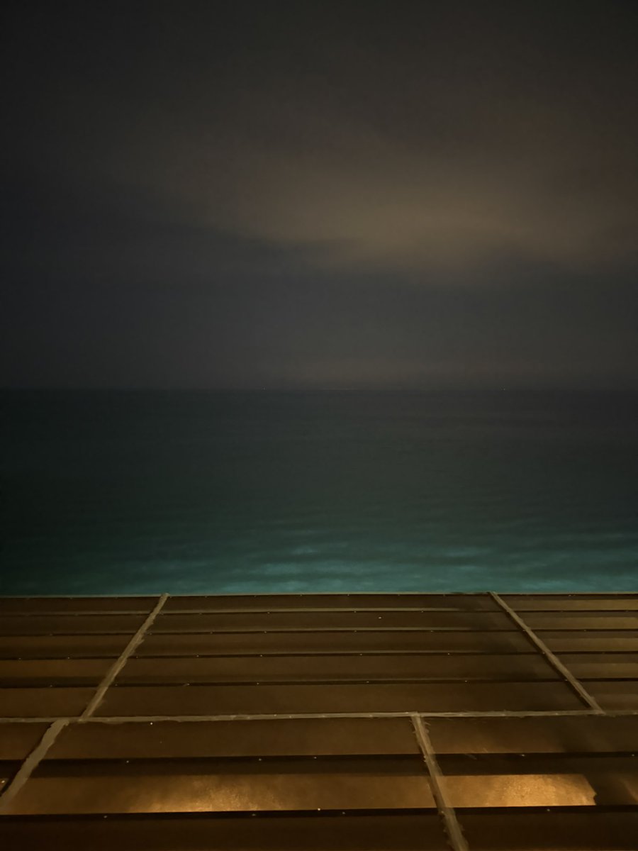 النور✨ tweet media