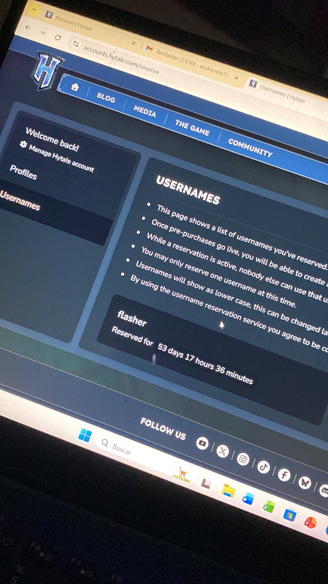 AndreCreatess's tweet image. Reservadooo @Hytale