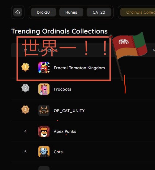 おめでとまとぅー🍅世界一！