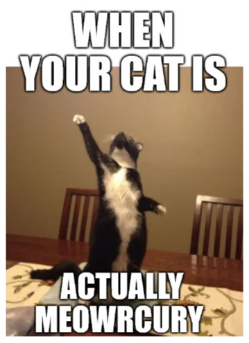 WholesomeMemes (@wholesomememe) on Twitter photo 