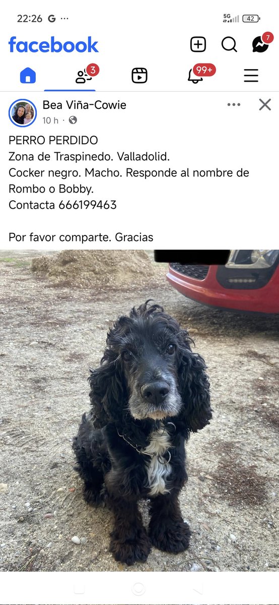 MUY URGENTE ‼️ MÁXIMA DIFUSIÓN ‼️ HAY QUE ENCONTRARLE. 🙏🏻🥺🐾🐾