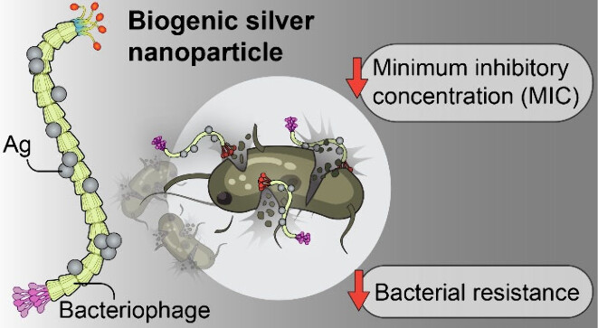 BioPACIFIC MIP tweet media