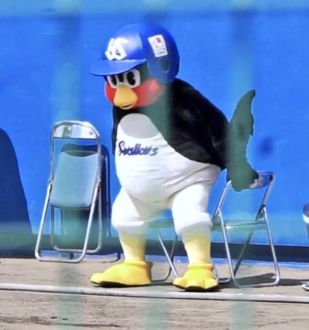 ♡IKU♡ 私はこのツバメさんに会いたい(/_;)