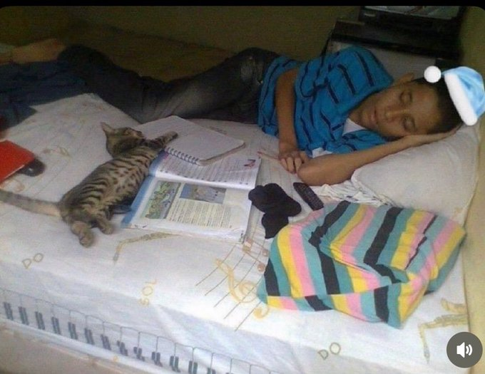 Voy a estudiar a la cama así me concentro más