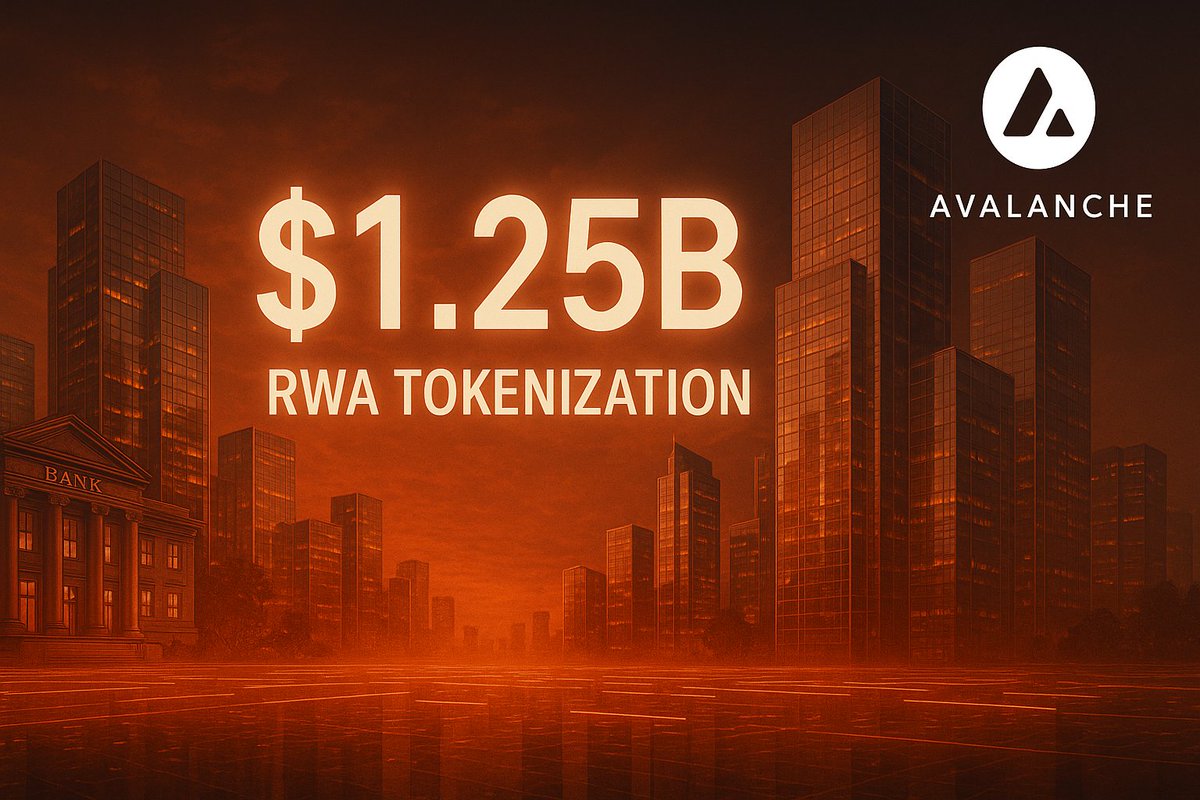 sagacious 🔺 tweet media