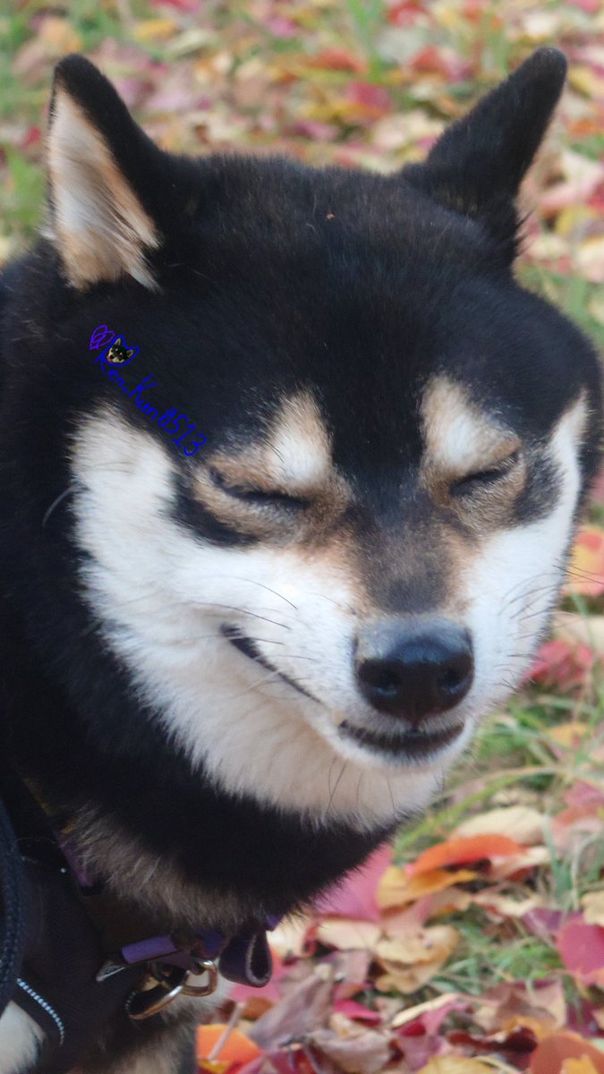 スマイル～～～