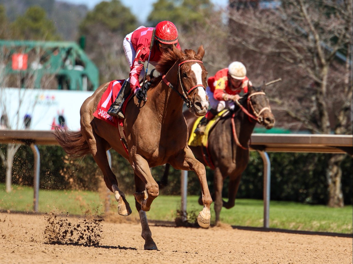 OaklawnRacing's tweet image. We can almost smell the track. 3 days until Opening Day at Oaklawn 🤩