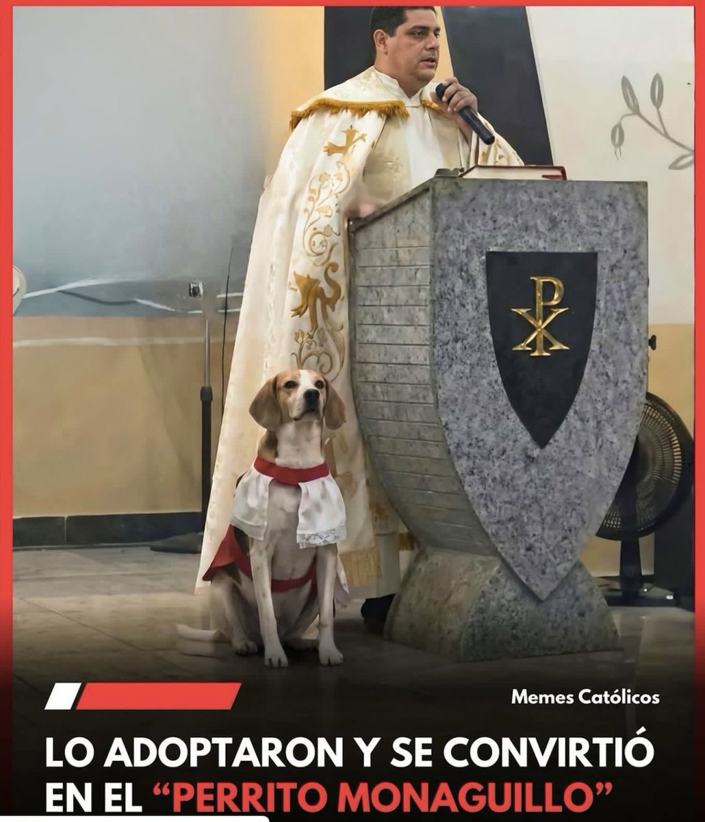 Me encontré esta foto. Que belleza de monaguillo.