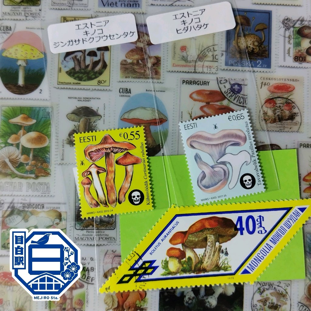 2025/12/09 🍄 #切手の博物館 #魅惑のキノコ展 #PhilatelicMuseum