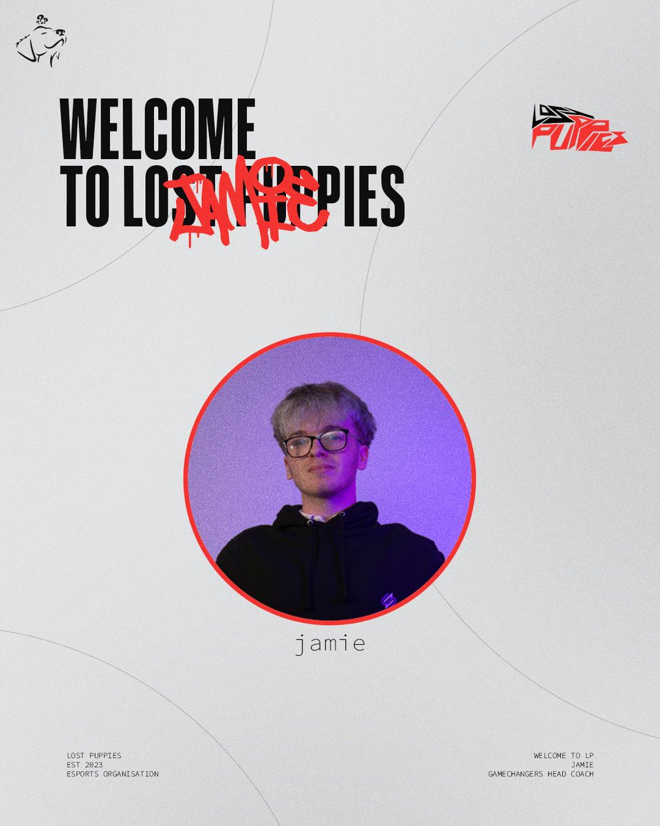 Lost Puppies tweet media