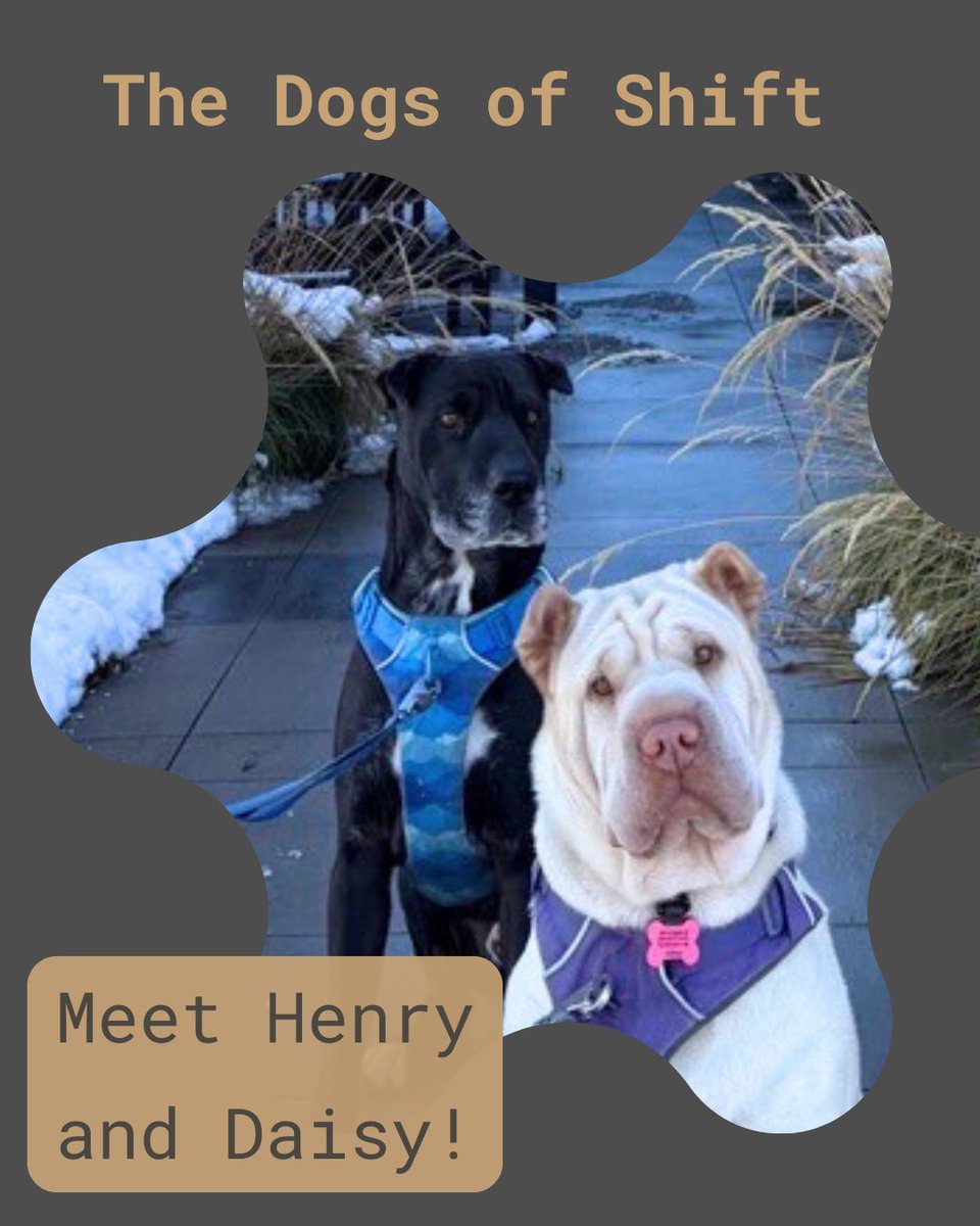 Shift Workspaces tweet media