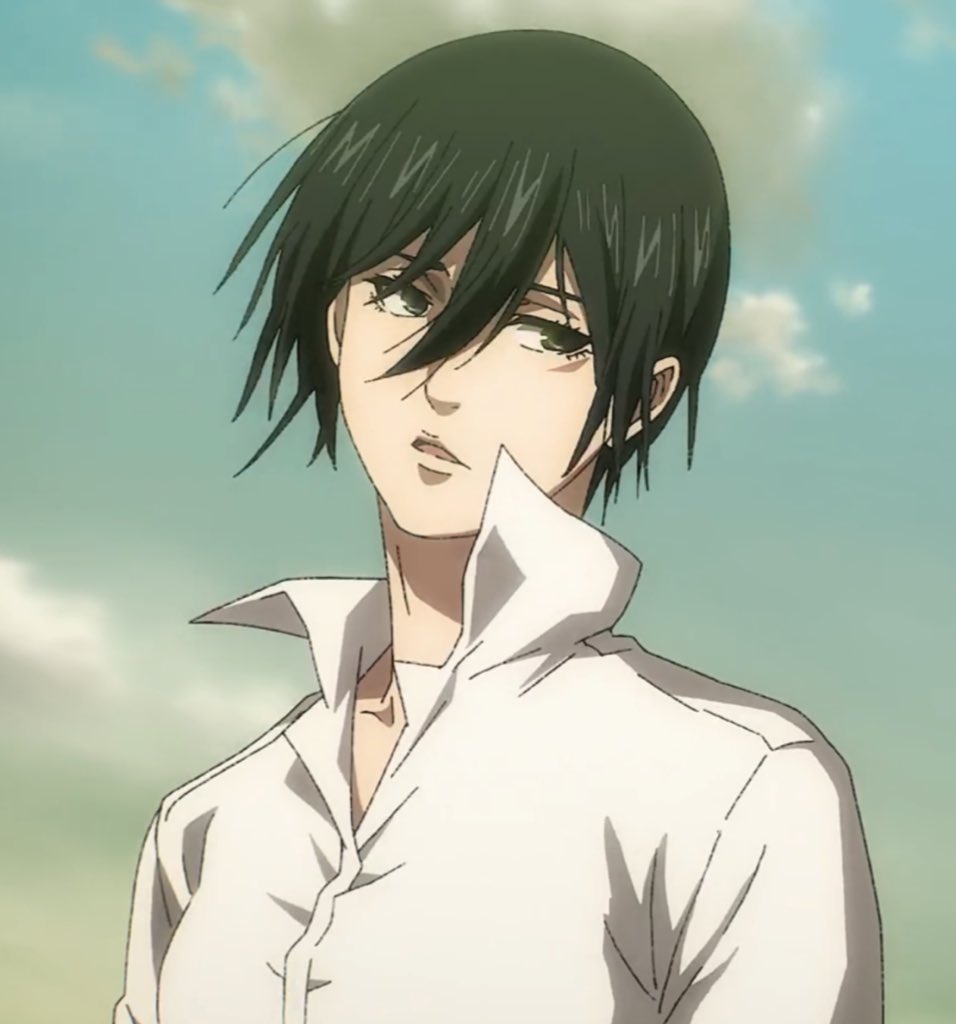 Mikasa at 15                           Mikasa at 19