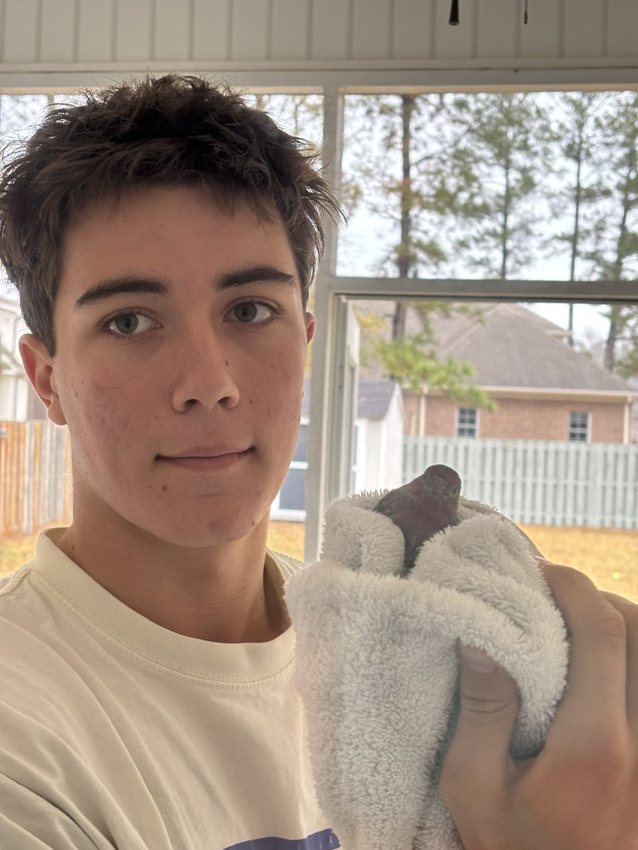Bird came into our backyard and hurt its wing. Luckily we nursed it back to health and he flew away safely! <a href="/RecruitGeorgia/">Recruit Georgia</a>  <a href="/CoachJournell/">Tom Journell</a> <a href="/CoachEFranklin/">Eric Franklin</a> <a href="/StolafRBC/">Eric Pulley</a> <a href="/Drew_Cronic/">Coach Cronic @ Navy</a> <a href="/CoachASmith3/">Aaron Smith</a> <a href="/TonyJCoach/">Tony Johnson</a> <a href="/MarinelliShane/">Shane_Marinelli</a> <a href="/andy_lucas98/">Andy Lucas</a> <a href="/CoachBakk/">Coach Bakken</a> <a href="/BarnesCoach/">The Coach Barnes</a> <a href="/CoachWoodring71/">Kevin Woodring</a>