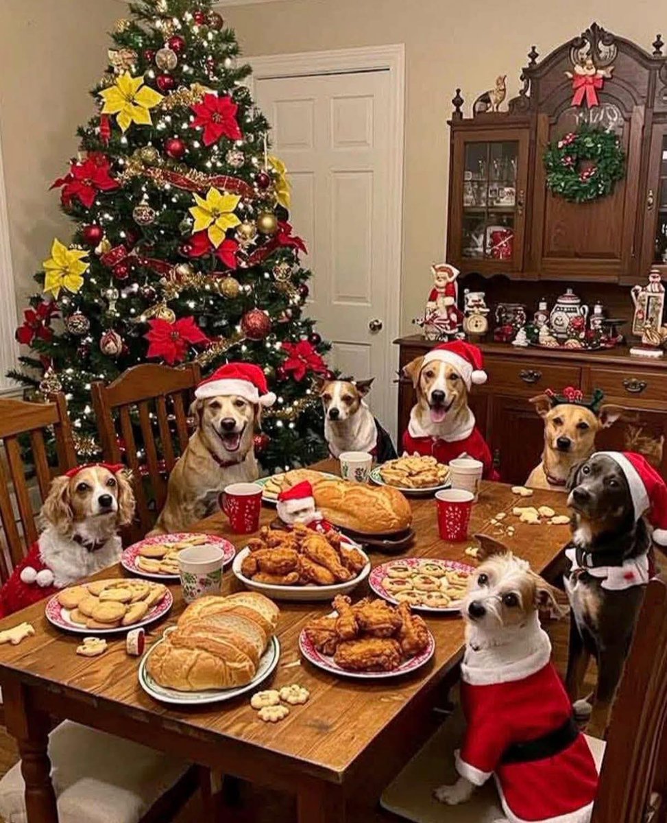 Mis invitados de honor para esta Nochebuena. 🥰
#AdoptaNoCompres