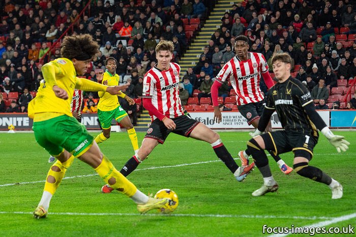 Connor Southwell tweet media