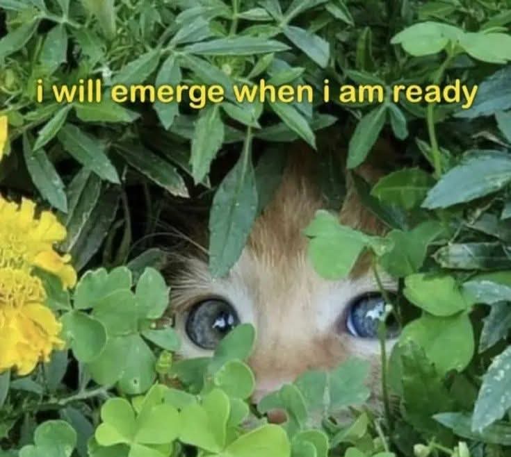 RunningWindward's tweet image. I bought land with forest for a reason...