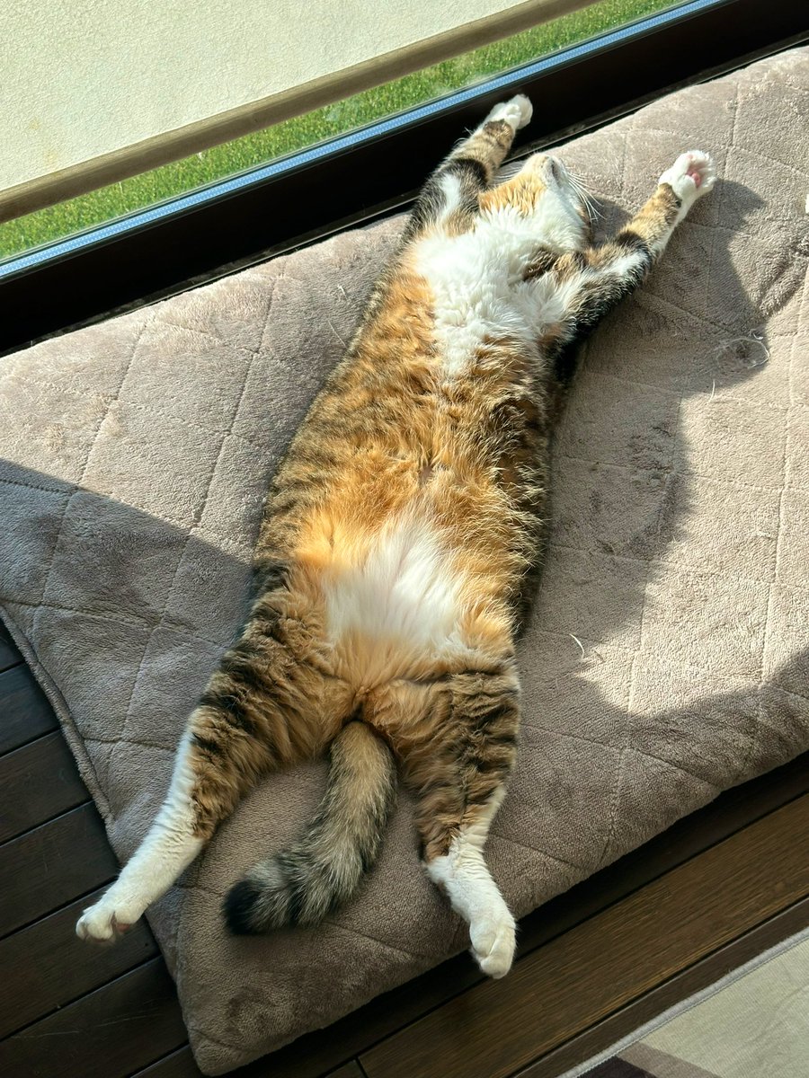 すまいる (@smilesnr) / Posts / X