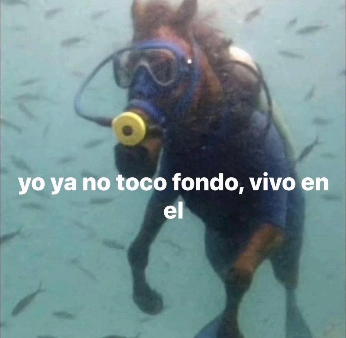 emociones amarillas (@conoloracigarro) on Twitter photo 