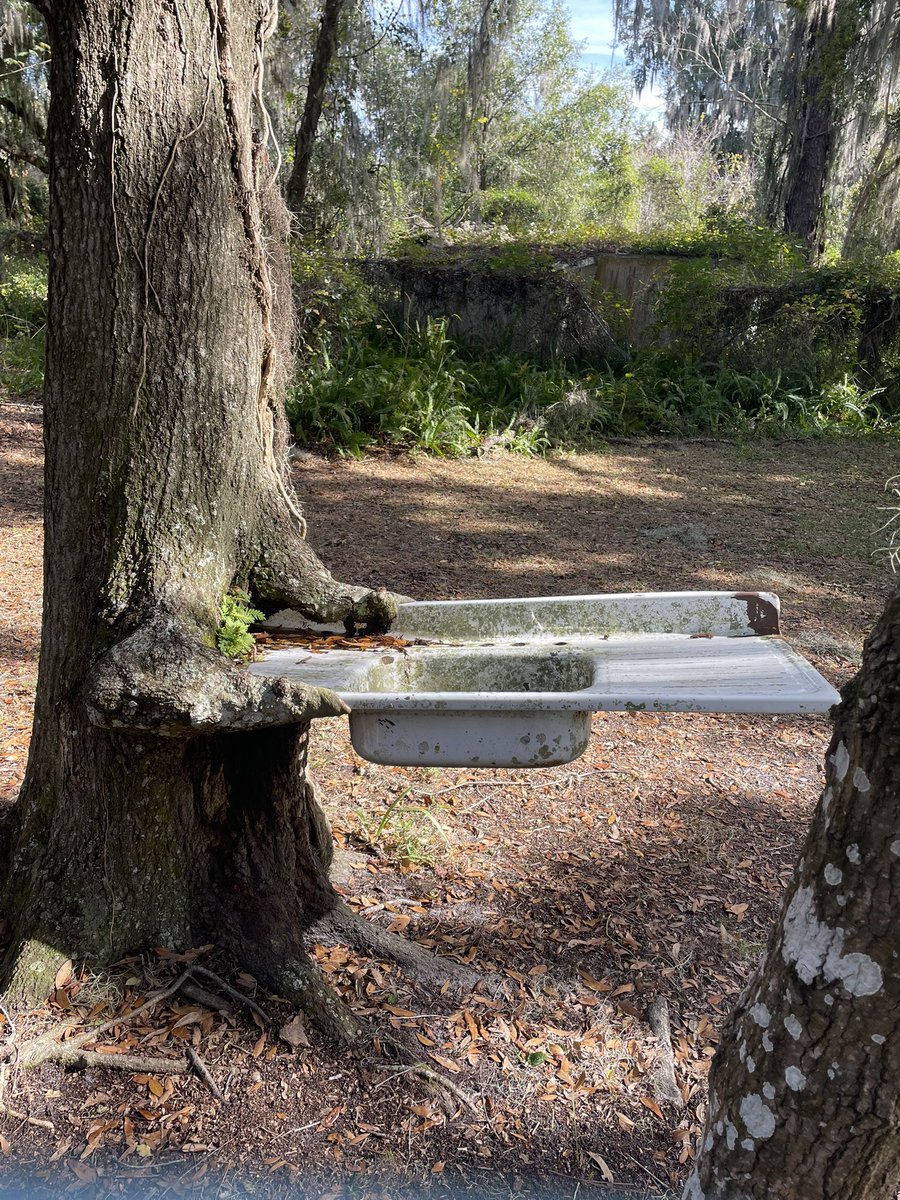 Let that SINK in 😳🥴😂