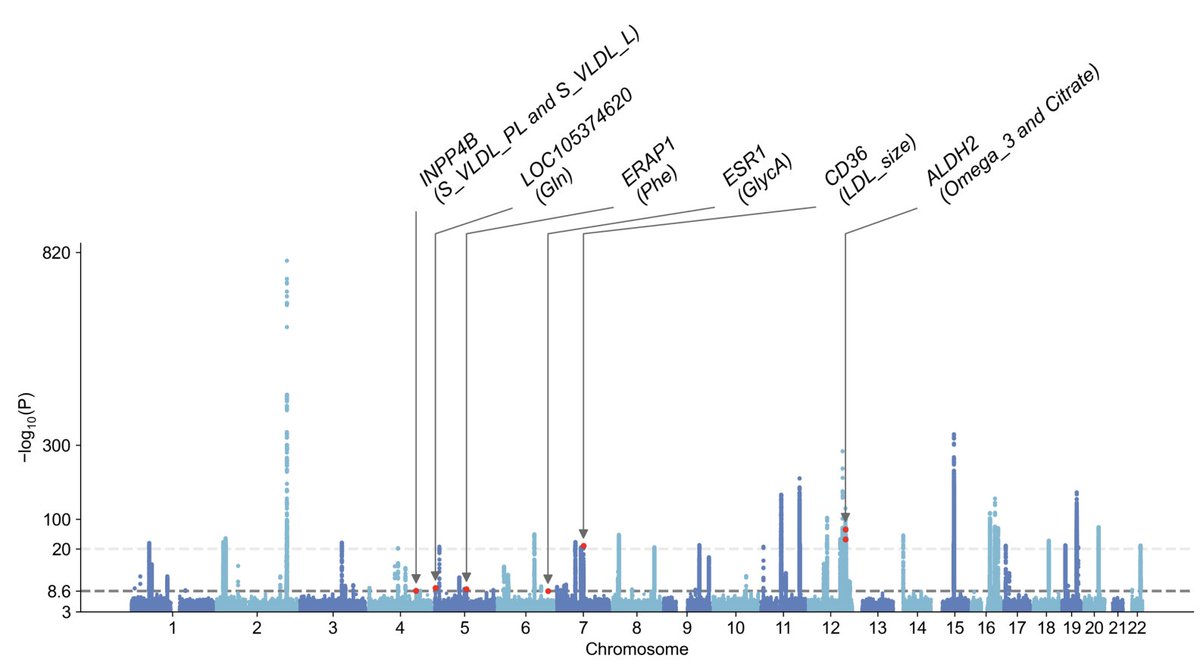 Biobank Japan now offers GWAS data for NMR metabolomics (N=37,969), as well as a multi-ancestry meta-analysis with UK Biobank &amp; Estonian Biobank (total N=657,341).

The data cover 248 metabolites and expand our metabolomics resources for following-up GWAS signals.