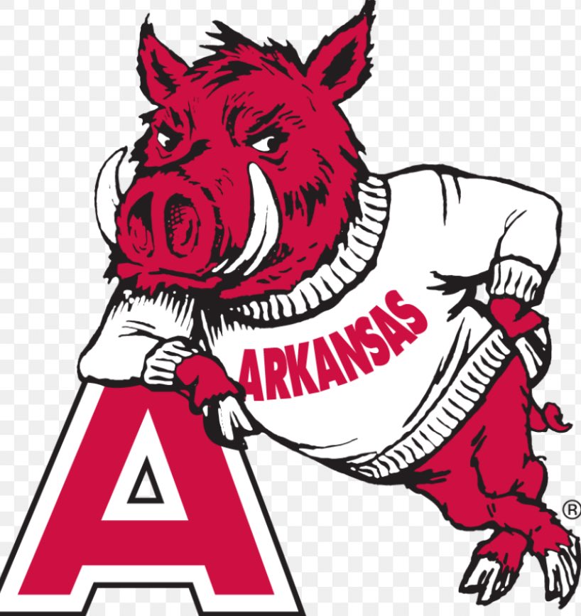 QuintonSykesJr's tweet photo. I am blessed to receive a offer from The University of Arkansas #Woopig🐗 @Coach_SandersQ @RSilverfield @247Sports @247recruiting https://t.co/aqkKu4bqzE
