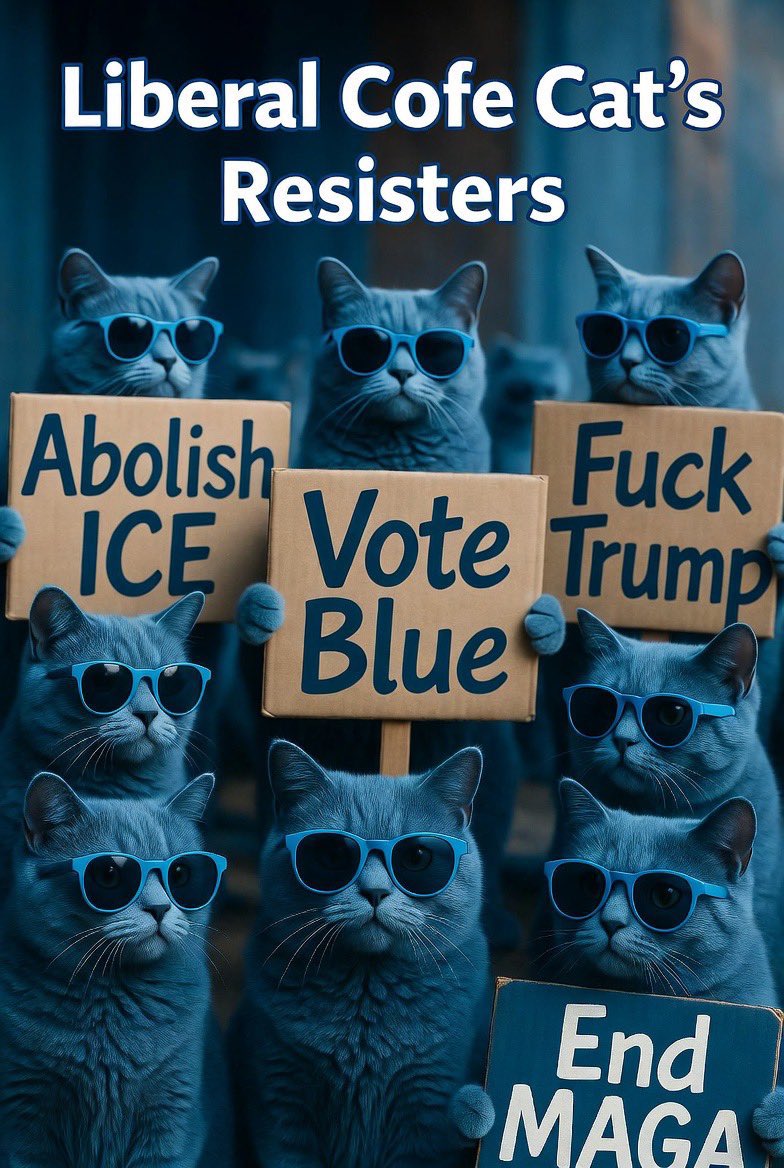 LiberalCofeCat's tweet photo. Blue Cat Express!! Galloway destroys Trump with common sense!
Let’s Go!
@ProNewsom 
@Abbeth 
@1zzyzyx1 
@JacquelinaTucci 
@jensdad4biden 
@Peatches66 
@mstrobertson 
@jrocinha99 
@JudgeHarlequin 
@24jsbliley83 
@BoomerHitsDiff 
@77SunnyAndClear 
@peppinyourstep7 
@navahochick56 
@Nagual44444 
@nicbasarab 
@ReallyFASMiller 
@ReallyMysterio1 
@SydesJokes 
@PShootLFWW 
@Mollyploofkins 
@Uncultured_Cunt 
@don__smart 
@enespacio 
@Smapsley 
@brain_blog_ 
@GnomeInTheCove 
@Hilltop__Leader 
@magicman2232 
@mylesgaston25 
@MotorCitySue1 
@pixiebythemoon 
@EclecticMommaZ 
@Dougieg633 
@DougWahl1 
@john_robicheau 
@angel_testing 
@jbminatra 
@GulliAz 
@crygood 
@weje4487