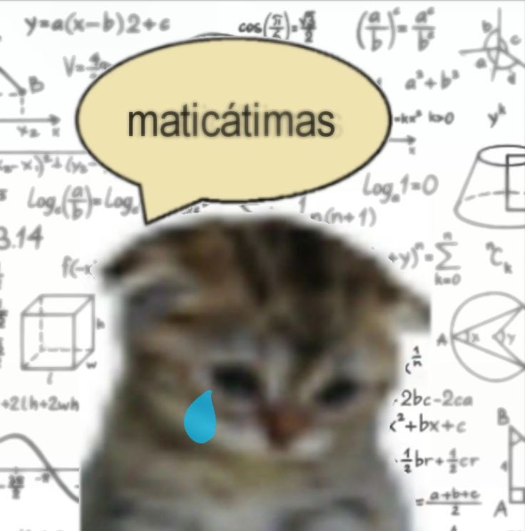 Shitpost só que de verdade (@shitpostverdade) on Twitter photo 