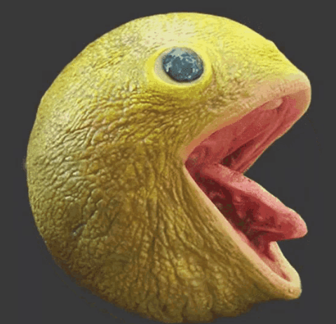 butterscotch tweet media