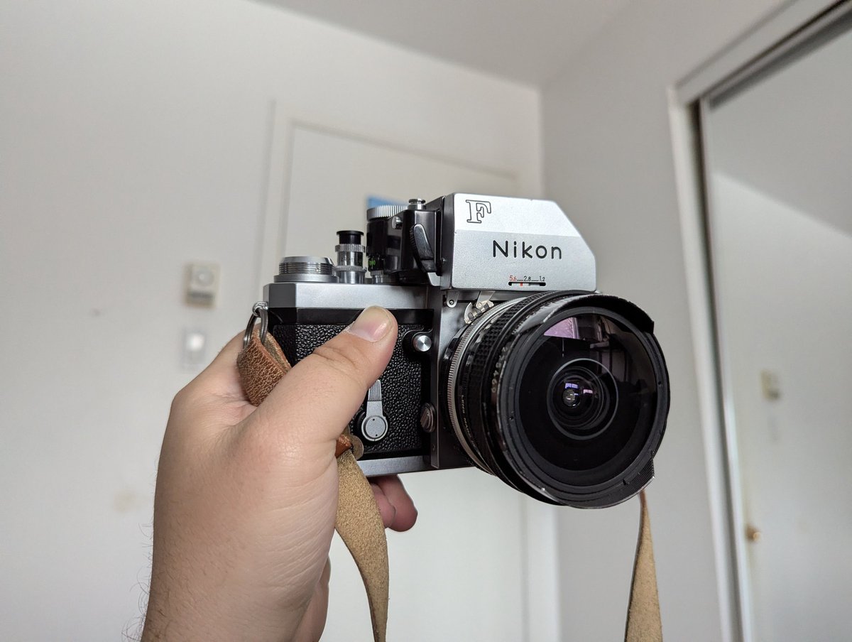 Pepethecat tweet media