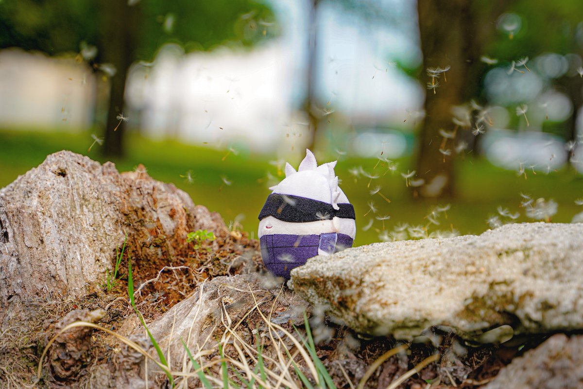 ako✹ (@megujujuako) / Posts / X