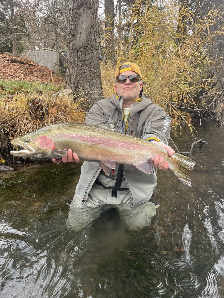 SellsMuch's tweet image. Steelhead Fever