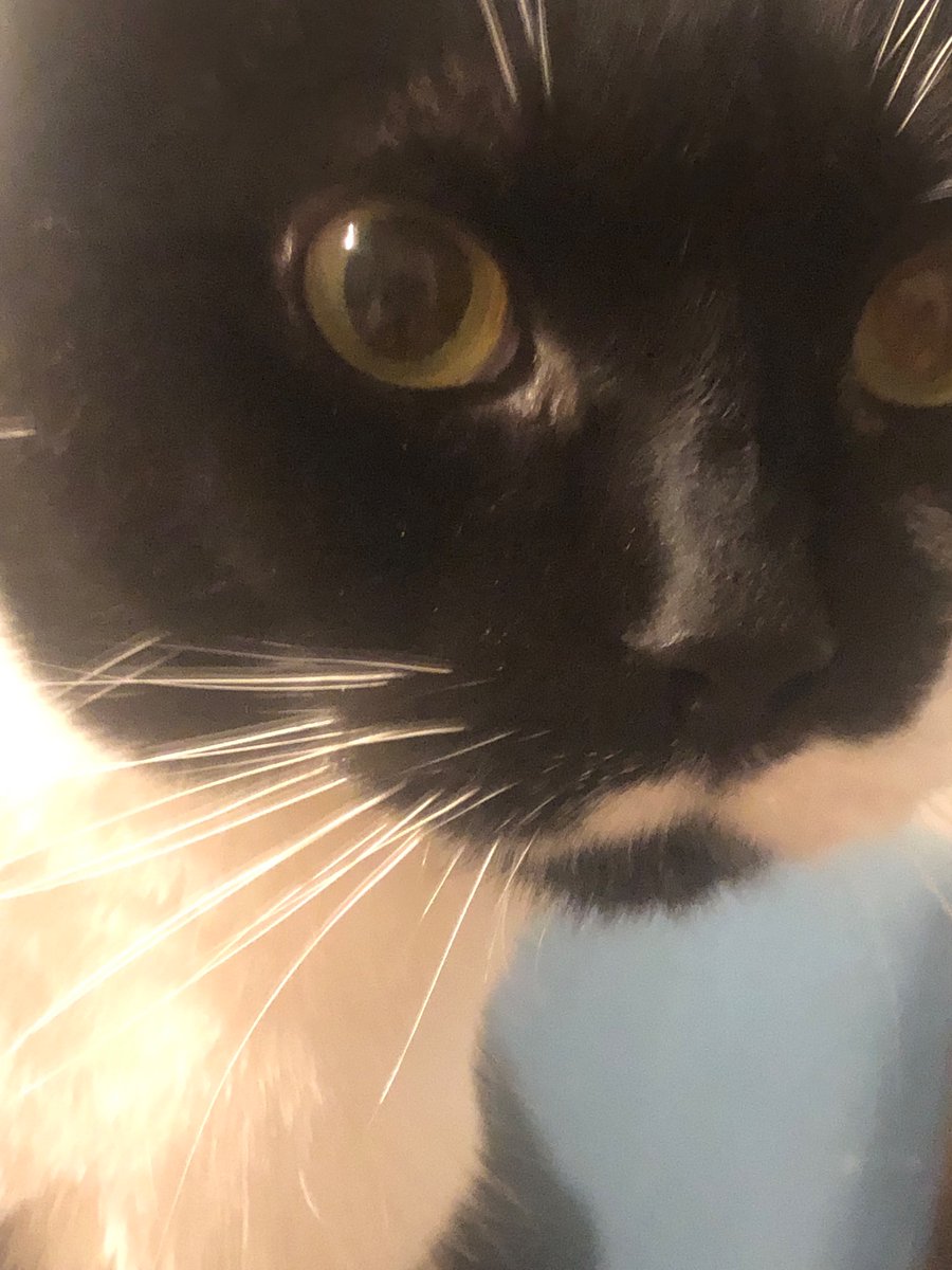 RESPECTFUL CHOSEN ONE 𝕏 tweet media