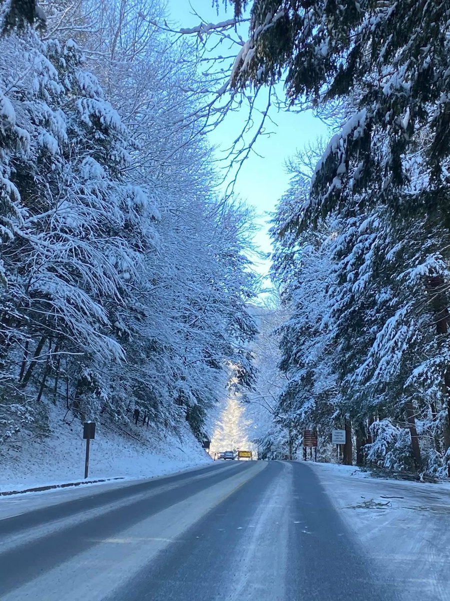 Visit Sevierville tweet media