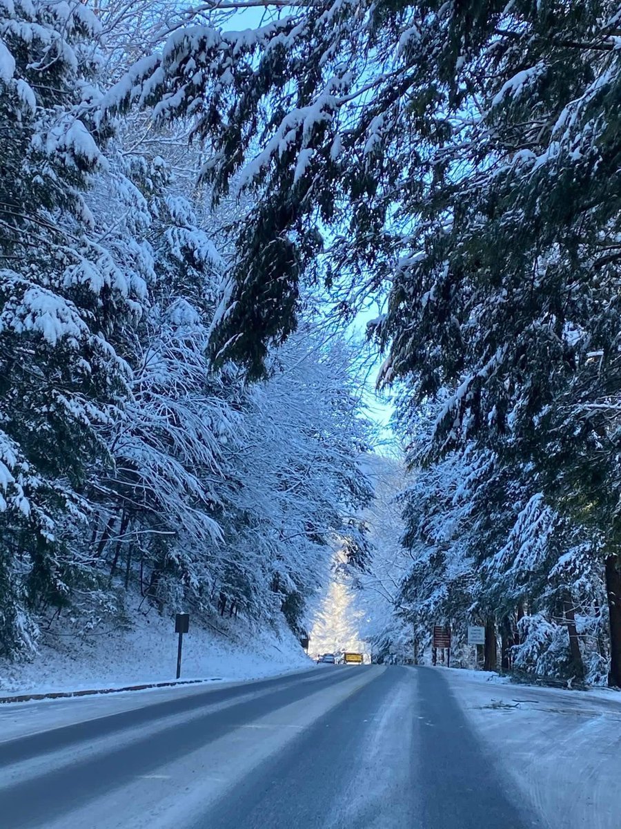 Visit Sevierville tweet media