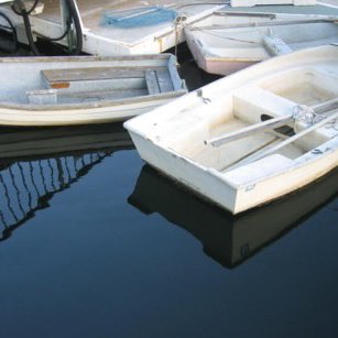 Rising Tide Entertainment tweet media