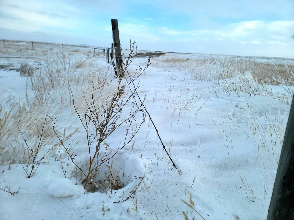 Cold weather is here to stay as a powerful jet stream shift brings winter conditions across North America. 

Hear from Nutrien's Eric Snodgrass as he explains the atmospheric conditions leading to this prolonged cold.

👉 Watch the full interview: ow.ly/NjFZ50XGuHI  
#cdnag