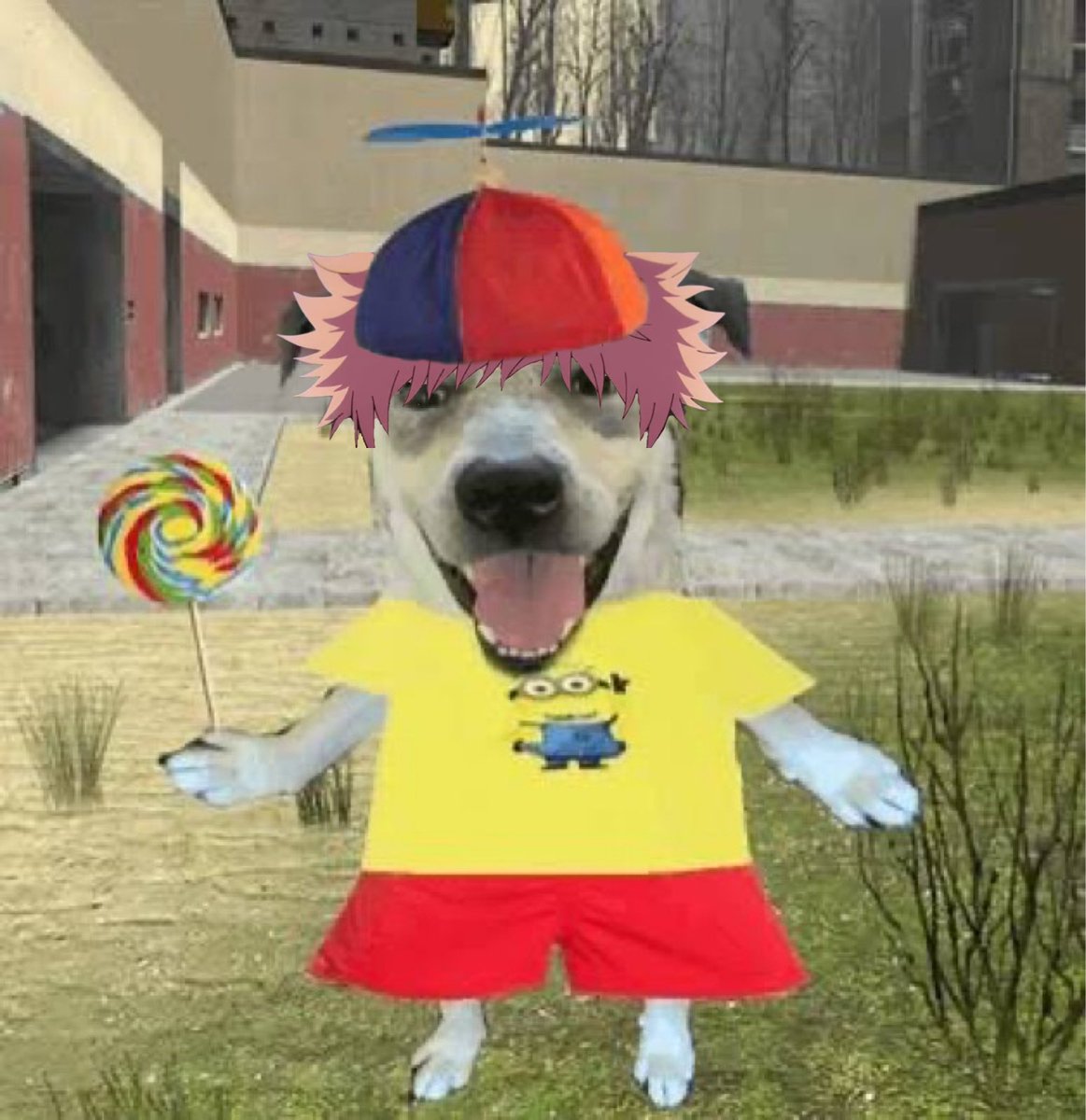 gato_suguru's tweet image. 