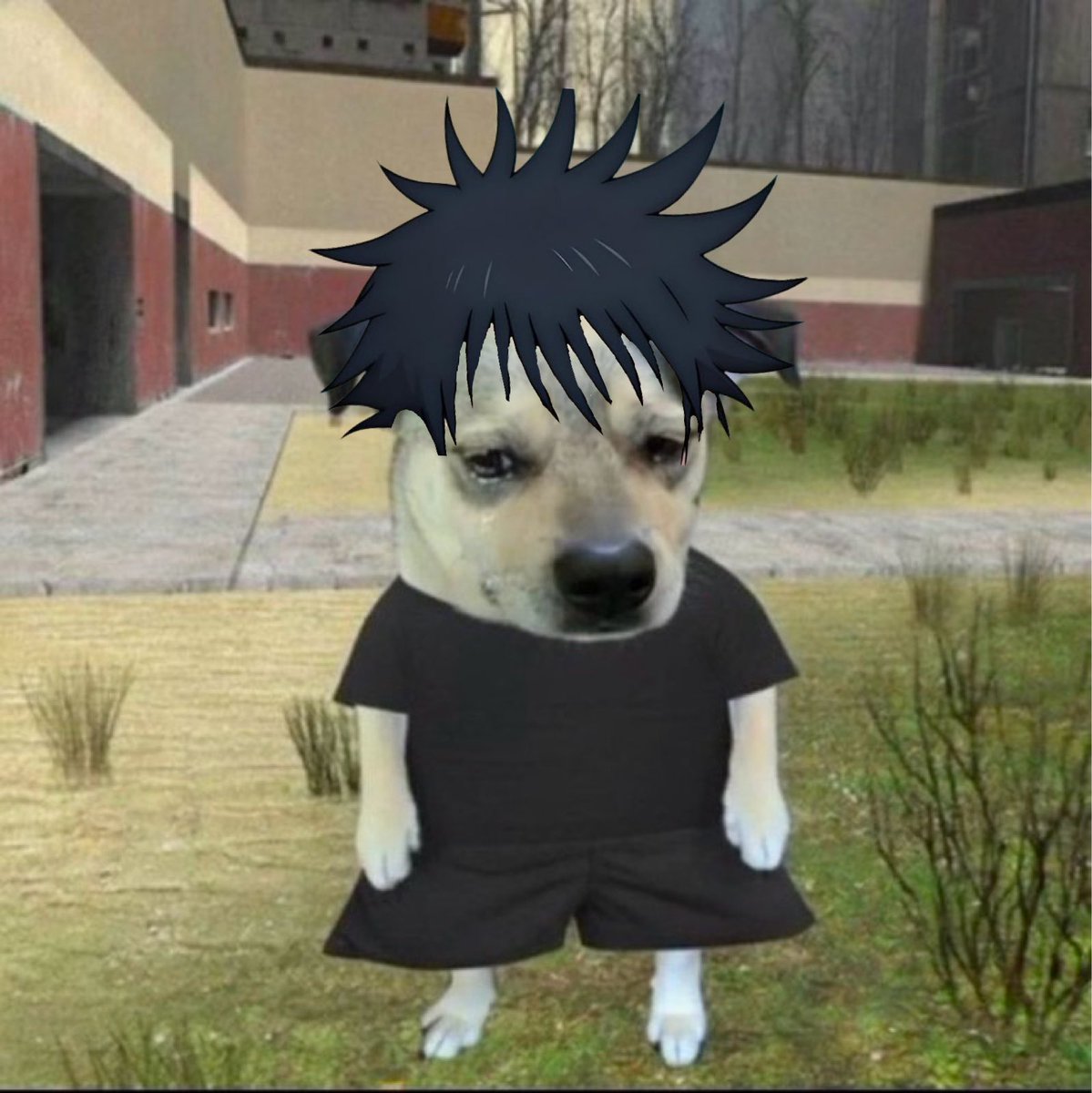 gato_suguru's tweet image. 