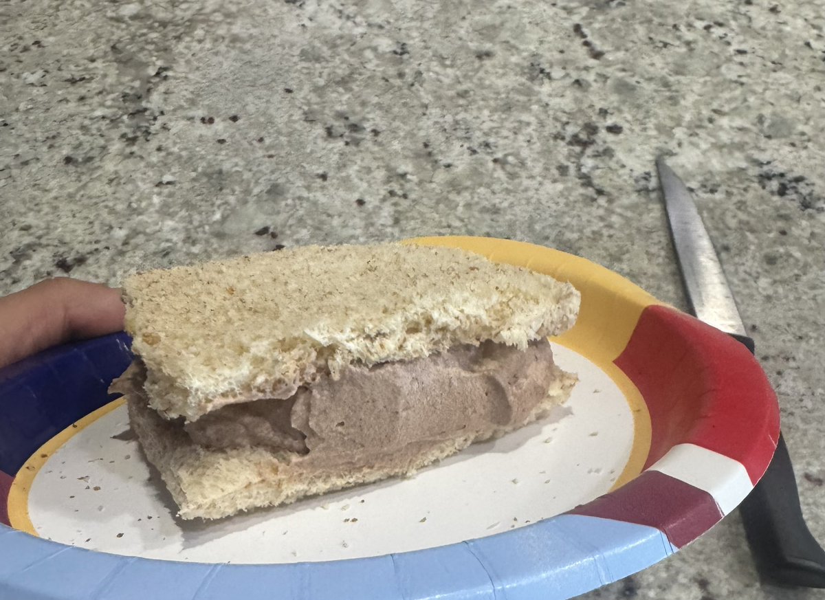 Some one help me I keep making desserts homemade chocolate mouse and mouse Sando (I’m learn to make milk bread so it looks nice next time)