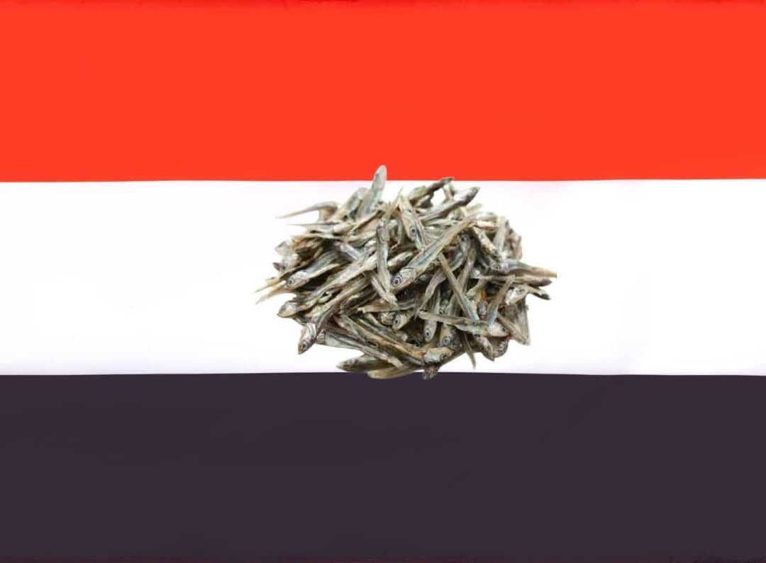 atefAltamimi's tweet photo. في الوضع الراهن  مش الاولى ان تتوحد المخا  والحوبان مع تعز  ونسيب الجنوب في حاله 
#دولة_تعز https://t.co/eP3smsbS9A