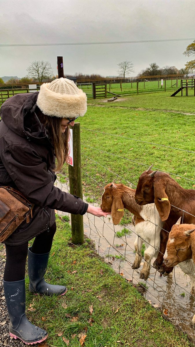 Christmas at Blubells 🎄