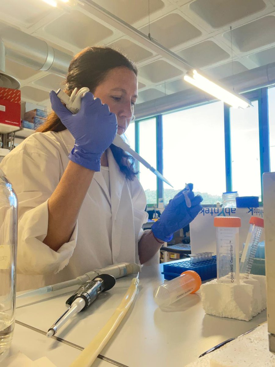 Instituto de Investigación en Biomedicina de BsAs tweet media