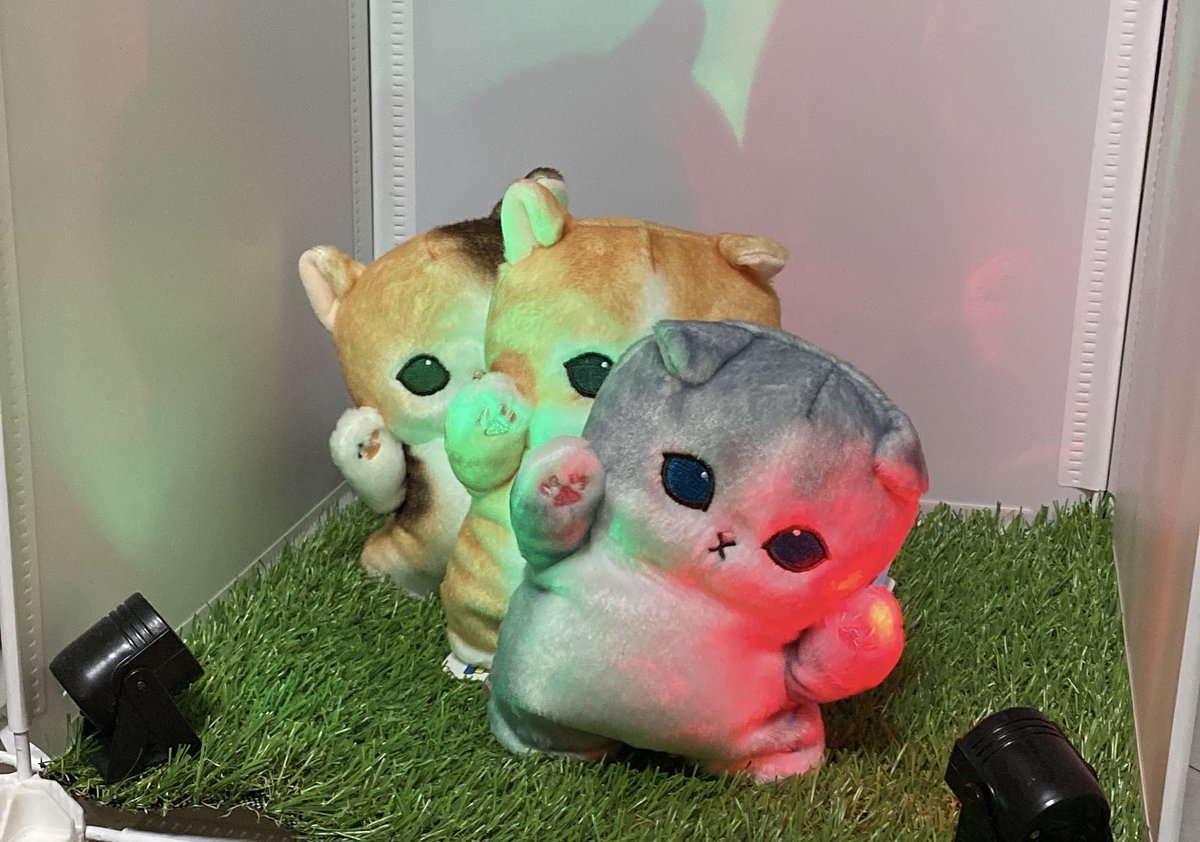 てつや (@kapo_neko) / Posts / X