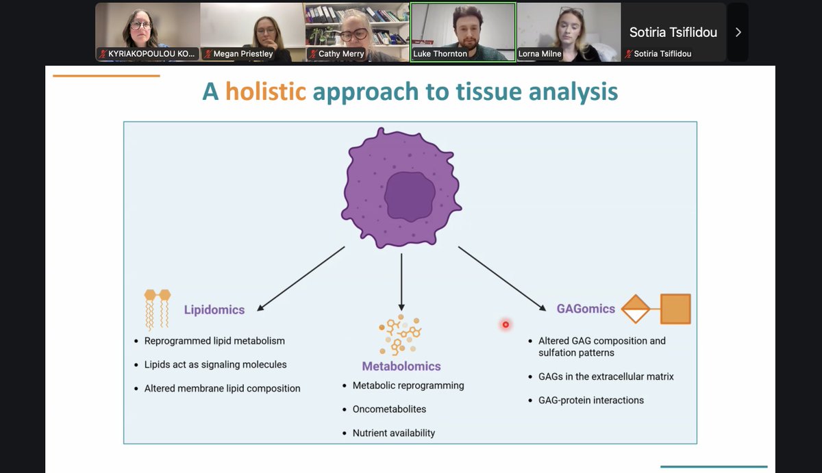 THEmeshwork tweet media