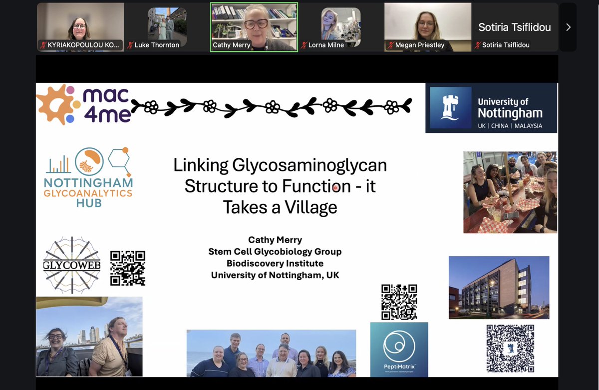 THEmeshwork tweet media