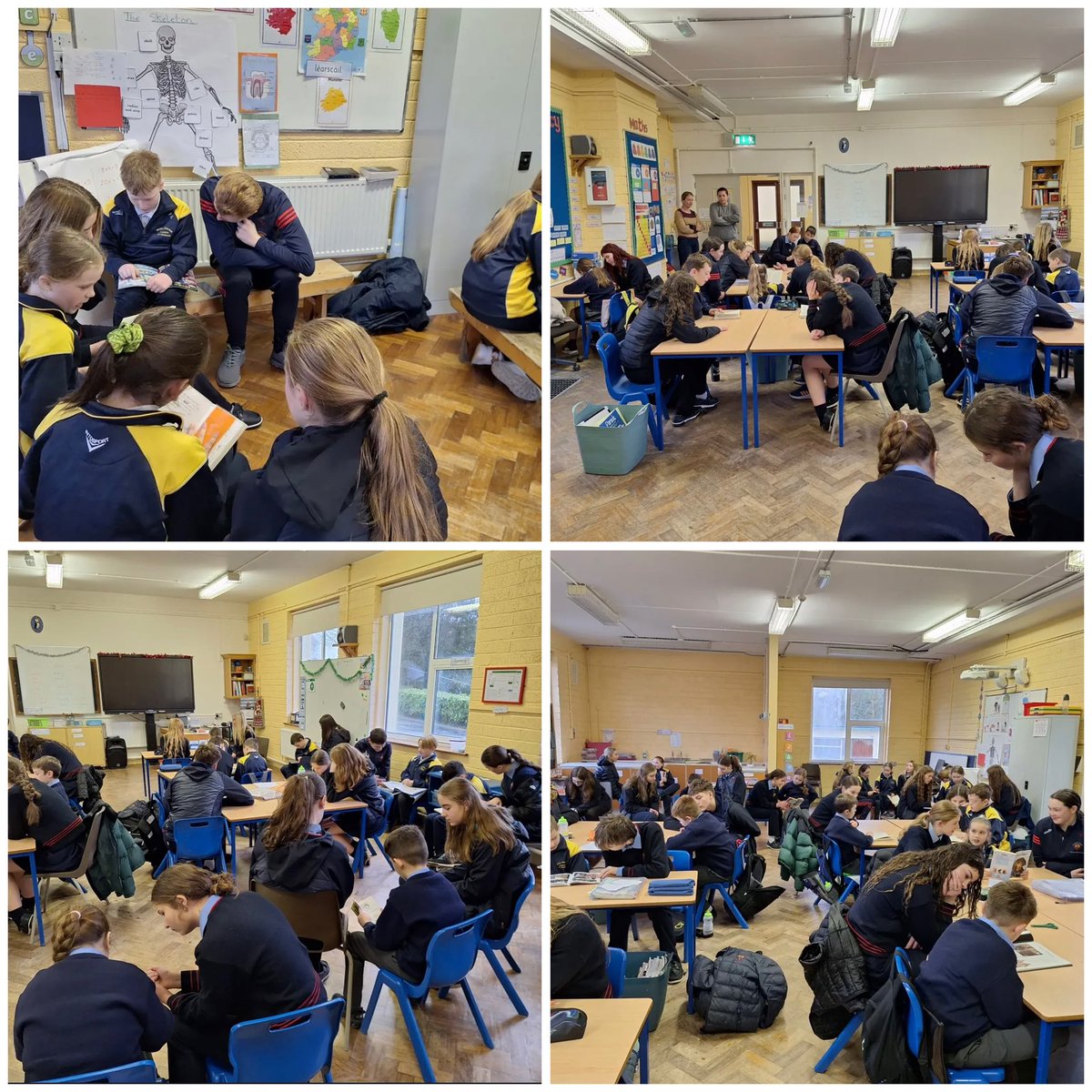 Castlecomer Community School tweet media