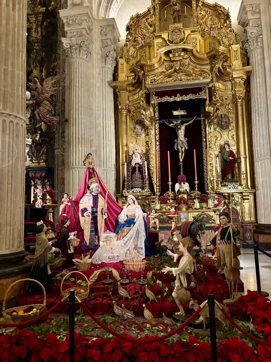 Hdad_Amor's tweet photo. NACIMIENTO | Un año más nuestra Hermandad celebra la Natividad del Señor con la instalación del tradicional Nacimiento a los pies de Nuestros Amantísimos Titulares en la Iglesia Colegial del Divino Salvador. https://t.co/qKJOd0iDBV