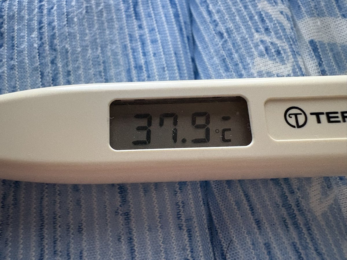 味覚🎮遊木ミカ/Yuki Mika tweet media